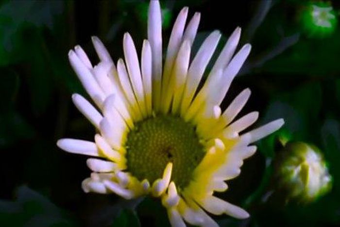 Busola Jegede - Be lifted high