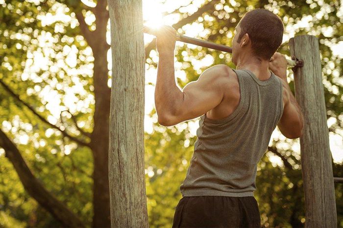 3 move workout for a bigger stronger back