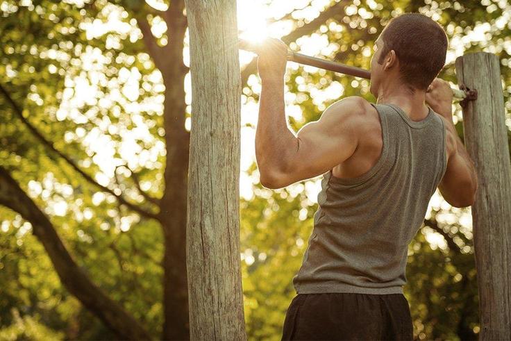 3 move workout for a bigger stronger back