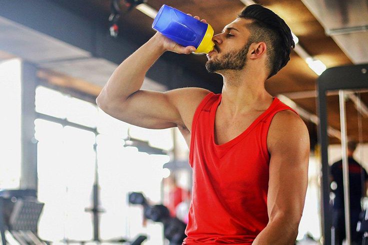 amount of protein max out gains