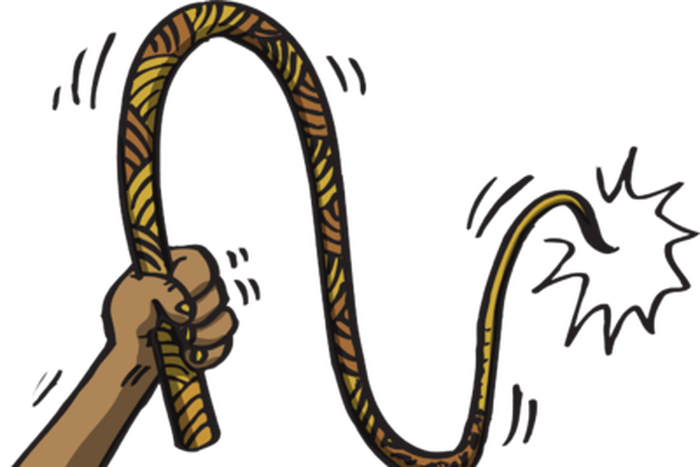 Whip for flogging