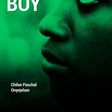 The Nigerian boy by Chilee Paschal Onyejelam