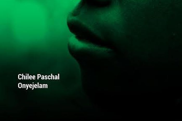 The Nigerian boy by Chilee Paschal Onyejelam