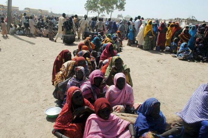 Millions have been displaced by the Boko Haram insurgency and the Nigerian military offensive to drive the jihadists from Borno state