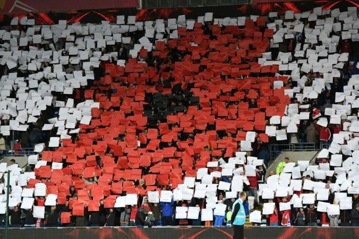 Fans form a poppy mosaic in memory of Britain's war dead ahead of the World Cup 2018 qualification match between Wales and Serbia at Cardiff City stadium in Cardiff on November 12, 2016