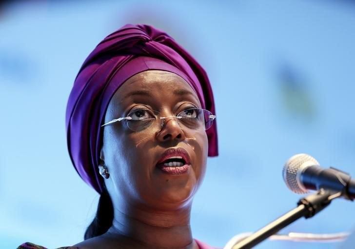 Nigeria's Minister of Petroleum Diezani Alison-Madueke addresses delegates at the opening of the Nigeira Oil & Gas 2014 conference in a file photo