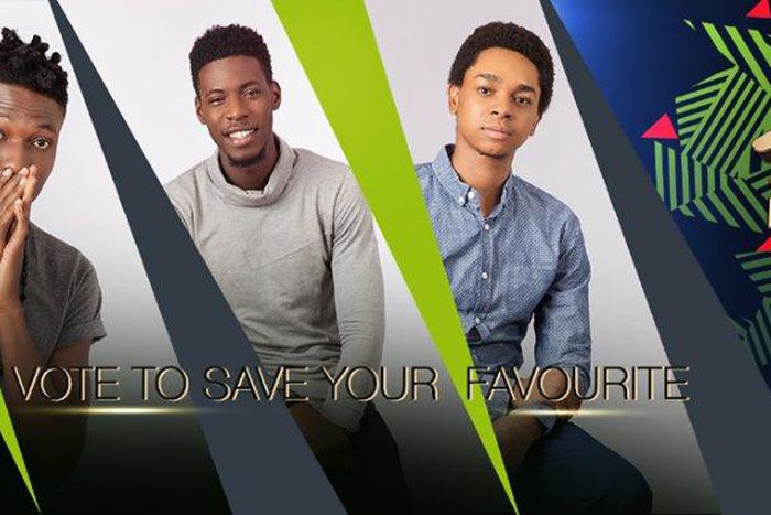 3 Big Brother Naija housemates up for possible eviction