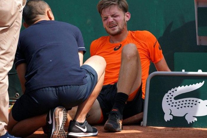 Belgium's David Goffin quit his third round match at the French Open after suffering a freak ankle injury when he got caught up in the court covers
