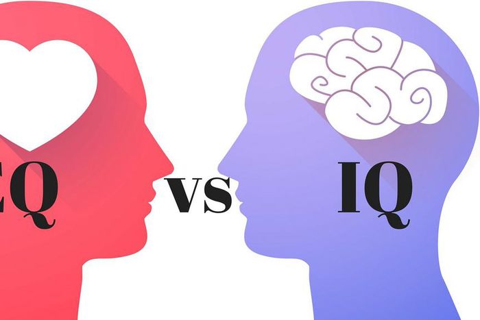EQ over IQ
