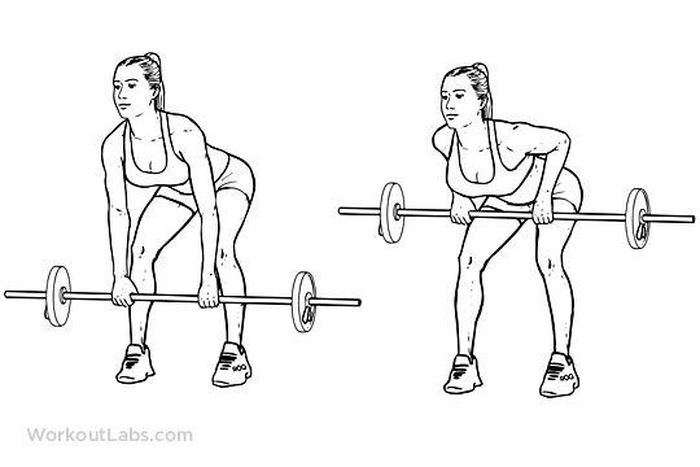 ___6971840___https:______static.pulse.com.gh___webservice___escenic___binary___6971840___2017___7___10___18___ece916e18324c9be802604c0e1e92e3e--barbell-row-barbell-exercises