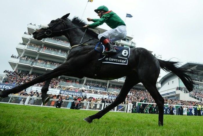 Harzand ridden by Pat Smullen wins the Derby in Surrey, southern England, on June 4, 2016