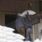 Workers load flour at a mill for Libyan grains in Tripoli February 11, 2015.   REUTERS/Ismail Zitouny