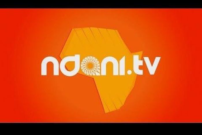 Ndani TV logo