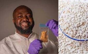 Entertainment news Celebrity gossip Movie and TV show updates Latest celebrity news Trending entertainment stories Egusi goes to space as Nigerian melon seeds join global research mission