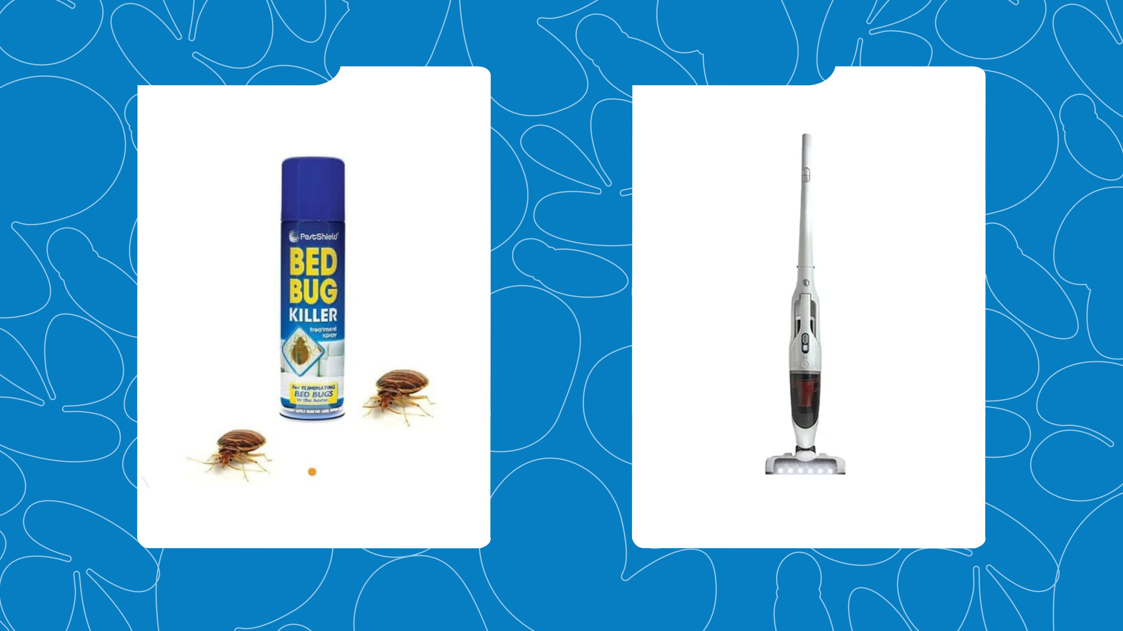 7 Products to Permanently Get Rid of Bed Bugs in Your Home