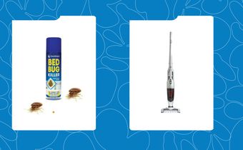 7 Products to Permanently Get Rid of Bed Bugs in Your Home