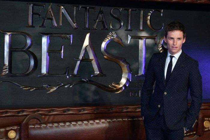 British actor Eddie Redmayne poses at the European premiere of the film "Fantastic Beasts and Where to Find Them" in Leicester Square in central London on November 15, 2016
