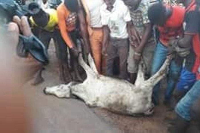 Gov. Ayo Fayose is not playing with herdsmen in Ekiti