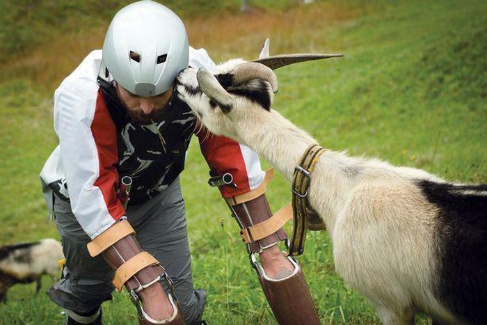 Mr Thomas Thwaites lives as a goat for three days