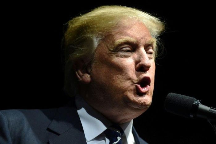 US President-elect Donald Trump speaks in Grand Rapids, Michigan, on December 9, 2016