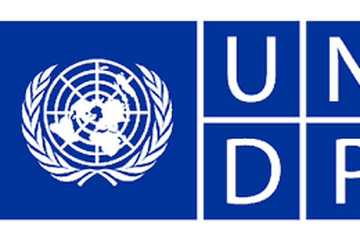 UNDP logo