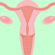 5 facts every woman should know about reproductive organs