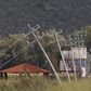 Electricity poles impacted by wind after the passing of Hurricane Patricia are seen in La Union de Tula, Mexico October 24, 2015.