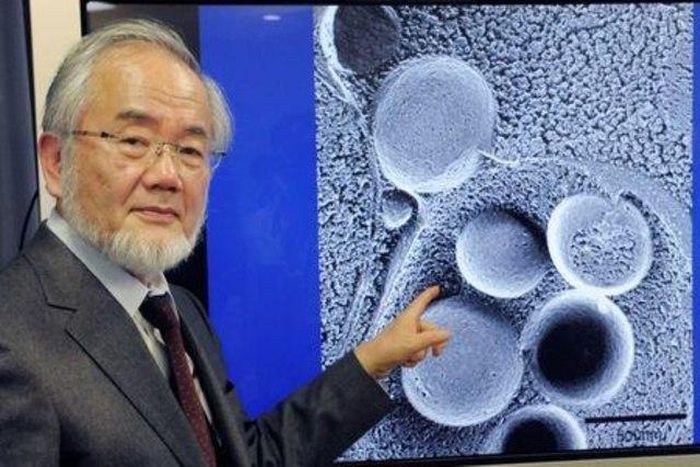 Japanese scientist wins Nobel medicine prize for work on "self-eating" cell mechanism