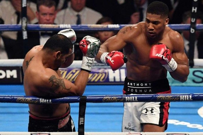 Anthony Joshua (right) needed just three rounds to defeat Eric Molina during their IBF heavyweight title fight in Manchester, on December 10, 2016