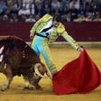 Spain's Constitutional Court on Thursday cancelled a ban on bullfighting in the northeastern region of Catalonia