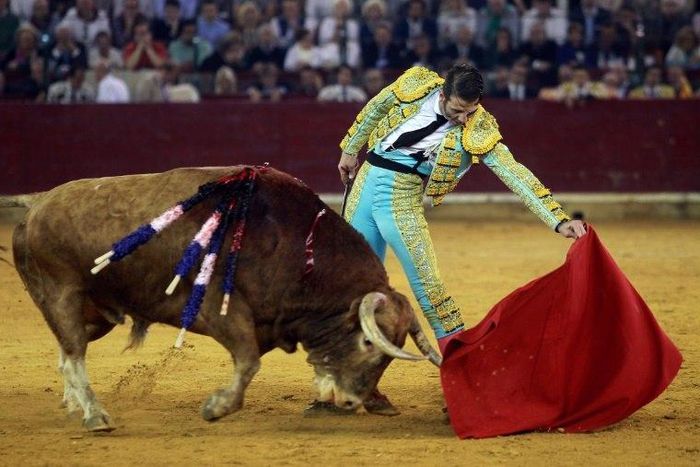 Spain's Constitutional Court on Thursday cancelled a ban on bullfighting in the northeastern region of Catalonia