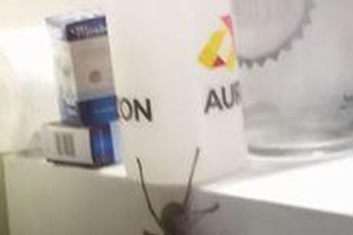 ___5650353___https:______static.pulse.com.gh___webservice___escenic___binary___5650353___2016___10___24___12___spider