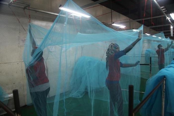 Climate change threatens to double malaria risk from African dams, say researchers