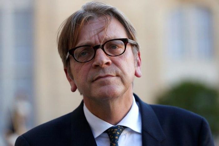 Former Belgium prime minister Guy Verhofstadt heads the Alliance of Liberals and Democrats for Europe (ALDE) in the European Parliament