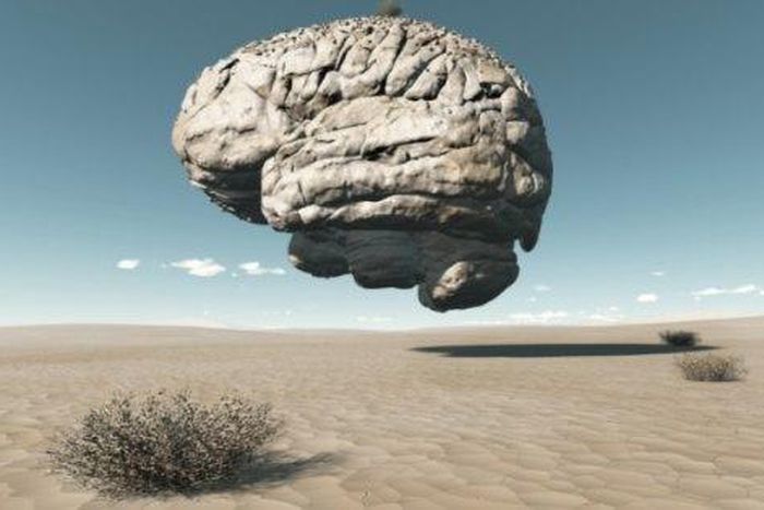 Tips from a ‘mindful’ brain to help you become more productive.