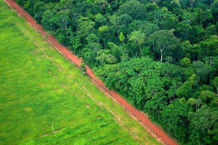 Land uses: An understanding for sustainable action