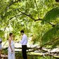 Mark and married on November 20th 2016