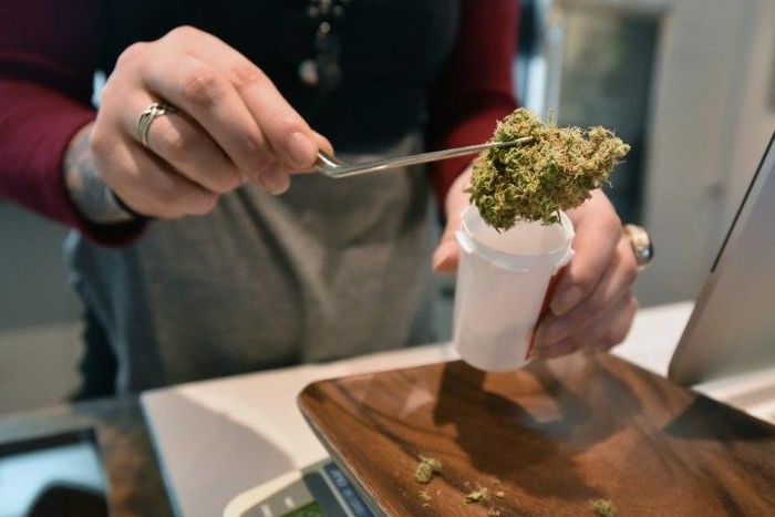 An estimated 500 patients would be included when the programme starts in 2018, with the number rising to up to 1,500 in 2021