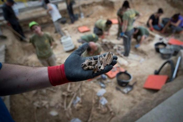 A worker shows human bones exhumed in a mass grave of victims executed by Franco's security forces during Spain's civil war, in Porreres on Mallorca Island on November 4, 2016