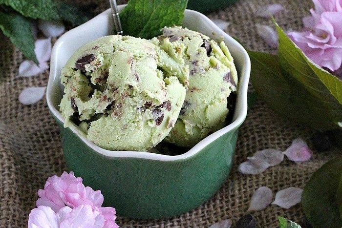 avocado chocolate chip ice cream