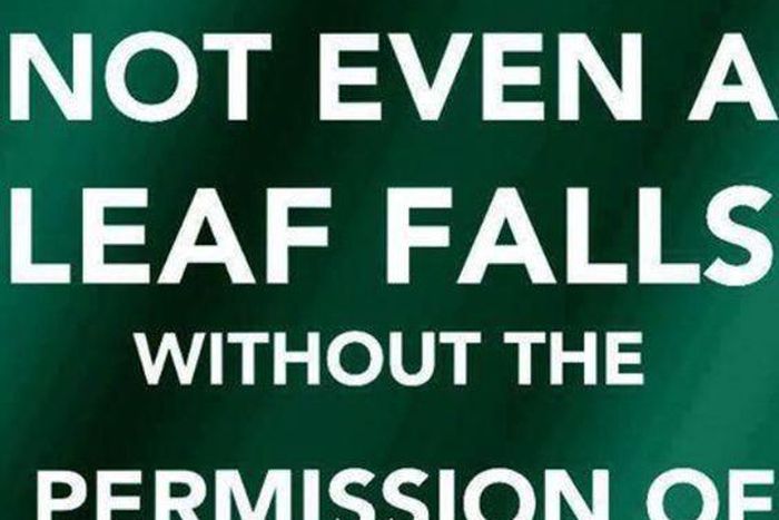 Sultan of Sokoto says Nigeria's economic recession was ordained by God