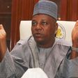 Borno Governor, Kashim Shettima