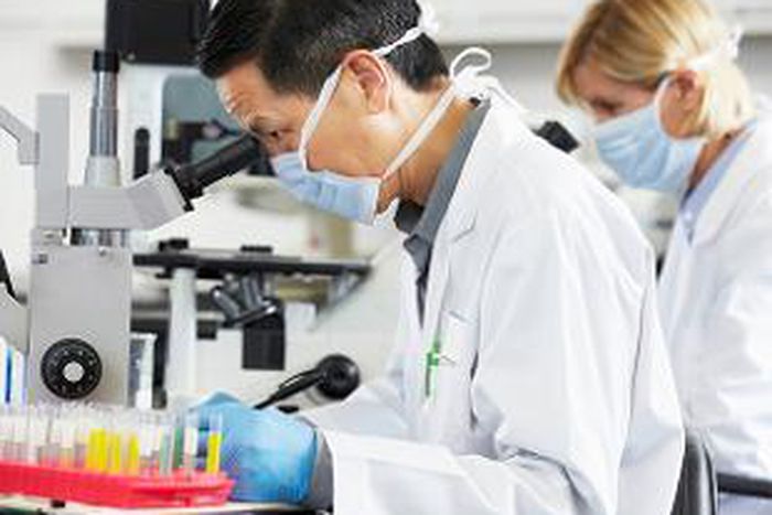 The team found the new viruses by studying more than 220 invertebrate species