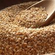 Sesame seeds