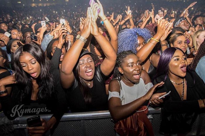Cross section of fans at the homecoming concert