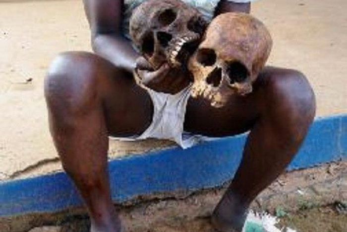 The tomb raider, Oluwatoyosi Akorede