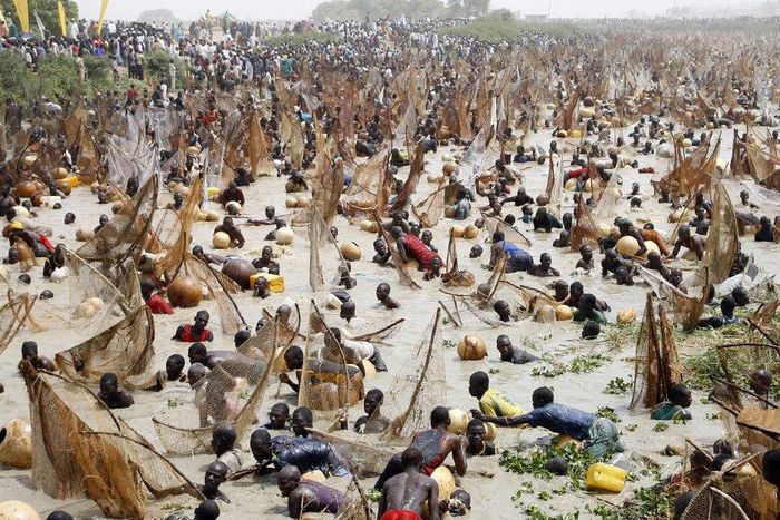 Argungu Fishing Festival