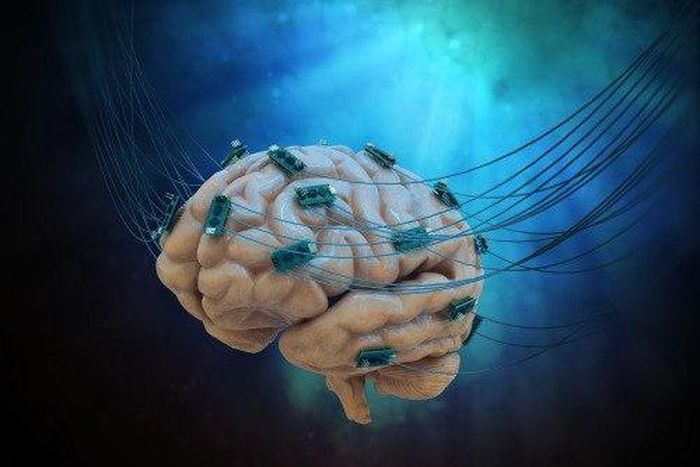 Could we upload a brain to a computer?