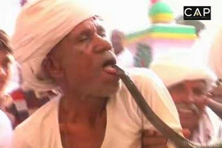 Indian farmer, Ram Rakha gets high off poisonous Cobra bite