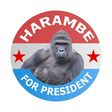 Harambe reportedly got 11,000 votes at the Presidential election